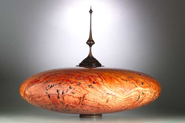Cindy Drozda|Boulder, Colorado. #4266 Salmon Gum Burl Vessel. Salmon Gum Burl, African blackwood, garnet in 14K.